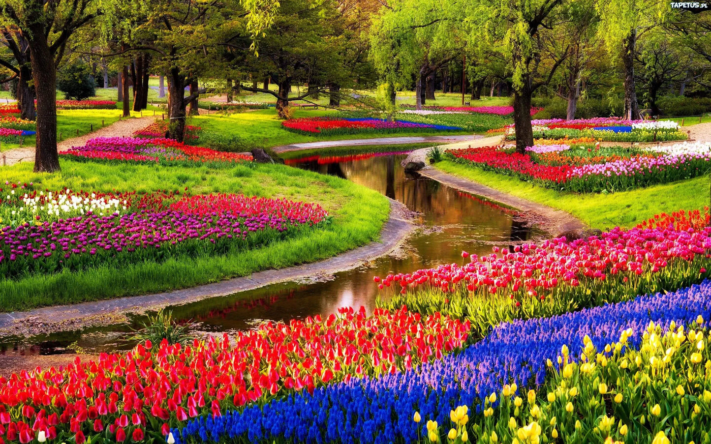 Keukenhof Entrance Ticket