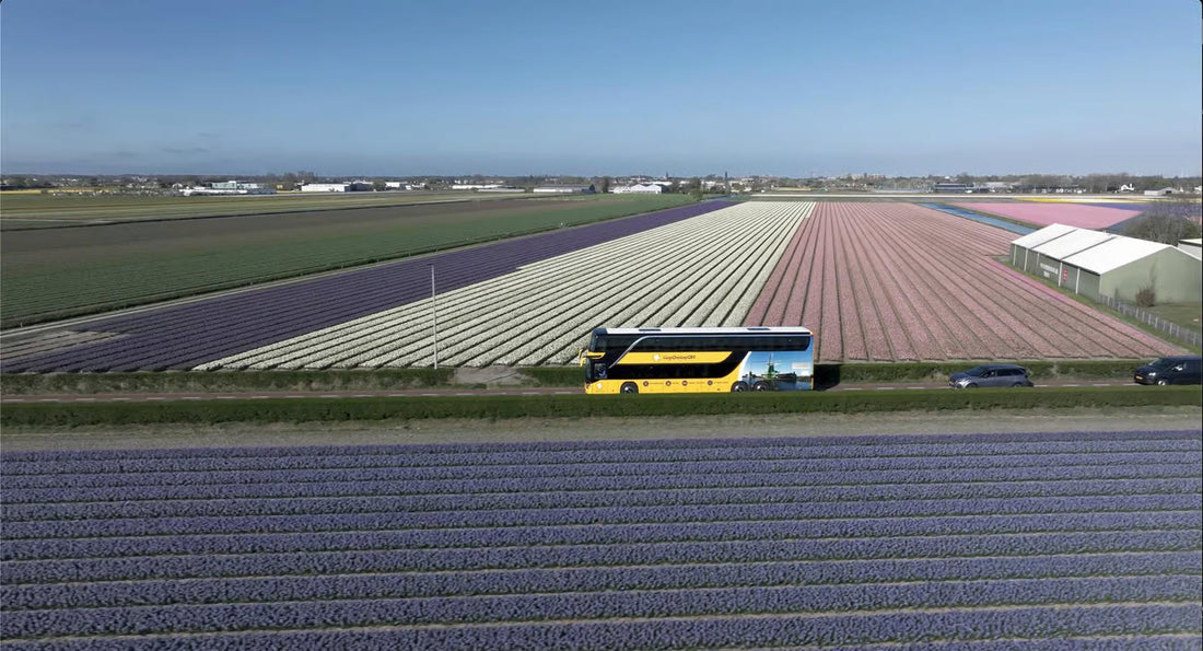 How to get from Amsterdam to Keukenhof