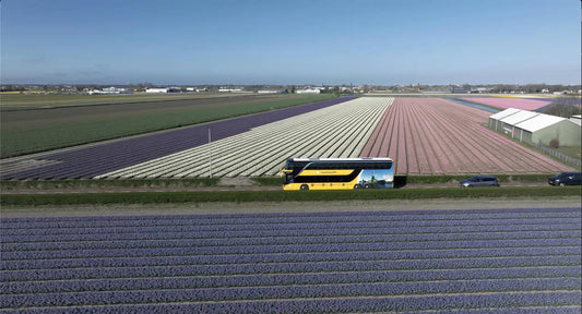 How to get from Amsterdam to Keukenhof
