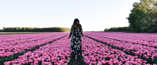 Bloom Your Feed: Instagram-Worthy Tulip Photos