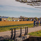 Bike tour (small groups)