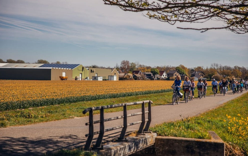 Bike tour (small groups)
