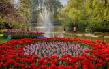 Keukenhof entrance + bus/coach from Amsterdam
