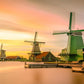 Daytrip Zaanse Schans & Keukenhof