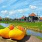 Daytrip Zaanse Schans & Keukenhof