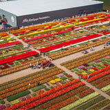 Tulip Experience Entrance